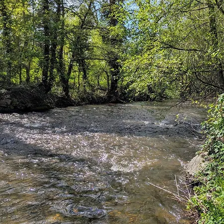 펜션 Grande Maison Renovee Avec Jardin, Proche De La Basilique De Brioude, Ideale Pour Randonnees Et Sports Nautiques - Fr-1-582-55